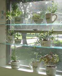 DIY: Spice Up Your Kitchen with a Window Herb Garden  SimplySmartLiving.com