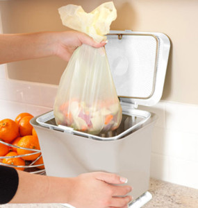 Countertop composters make green living easy