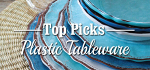 Top picks for plastic tableware