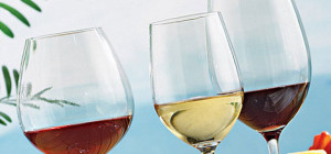 Best plastic wine glasses review of top brands and where to buy